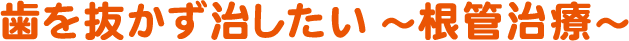 歯を抜かず治したい～根管治療～