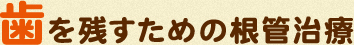 歯を残すための根管治療